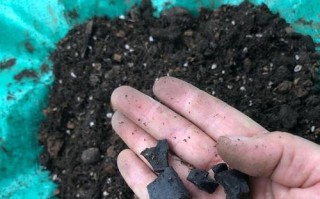 板栗壳变废为宝，做成高效花肥！（板栗壳的制作和使用、板栗壳花肥的好处）