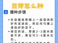 黄豆种子的种植方法（从选种到收获，教你全程种植黄豆）