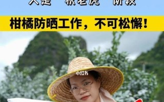 柑橘果期养护与管理（果期长达数月，护理不可掉以轻心）