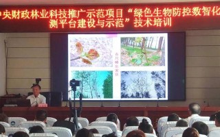 杨树病虫害防治技术与方法措施（保护绿色环境关注杨树健康）