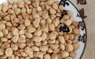 如何为金丝指葫芦施肥？金丝指葫芦肥料施用指南