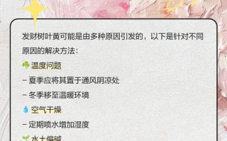 发财树叶黄的处理方法（教你如何恢复发财树的健康生长状态）