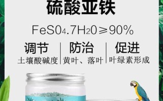 发财树能否浇硫酸亚铁？（揭开发财树浇水秘密，提升植物养护水平）