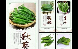 秋葵上市季节详解（探寻秋葵成熟的时间和营养价值）