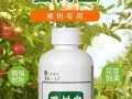 如何正确选择发财树肥料（掌握发财树肥料的使用技巧，让你的植物茁壮成长）