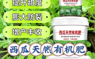 西瓜需要每天浇水吗？（揭开西瓜浇水的真相，养出甜美多汁的西瓜！）