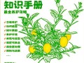 柠檬叶子枯黄的处理方法（如何挽救柠檬树叶子枯黄的情况）
