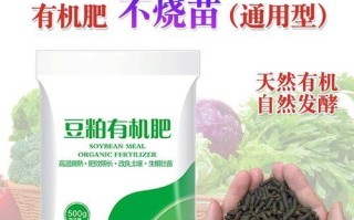 包心菜肥料施用技巧（掌握包心菜肥料的最佳配方，满足高产的需求）
