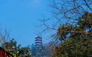 腊梅秋季养护指南（温度、光照、浇水、施肥、病虫害防治，助你打造健康腊梅花园）