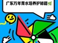 万年青修剪技巧与要点（打造整齐美观的万年青景观）