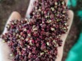 麻椒的成熟和采摘时间（了解麻椒的生长季节，掌握合适的采摘时间）