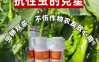 辣椒钻心虫防治方法（选择合适的药品，为您的辣椒保驾护航）