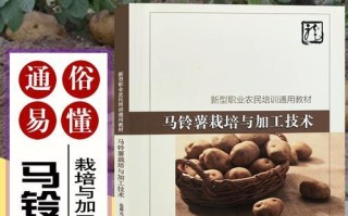 马铃薯病虫害防治技术（有效措施保障收成）