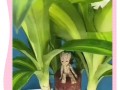 以巴西木叶子干枯怎么治（有效治理巴西木叶子干枯的方法及步骤）