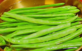 四季豆的最佳食用季节（营养丰富，多种食用方式，丰富餐桌）