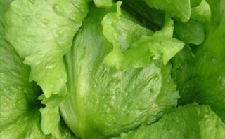 生吃蔬菜品种推荐（探寻生食界中的明星蔬菜，健康吃出美味！）