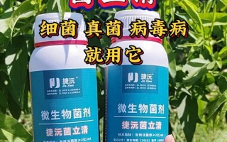 辣椒生长条件详解（揭秘辣椒的生长环境和种植技巧，助力农民增产致富）