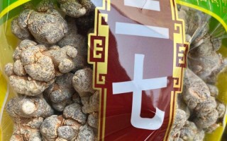 盆栽田七的养殖技巧（如何在家中养活健康的盆栽田七）