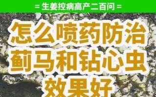 防治辣椒钻心虫的有效方法（打什么药效果好？如何正确防治？）