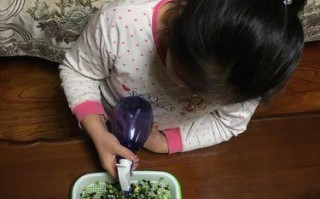 黑豆发芽全过程剖析（如何让黑豆顺利发芽，从而增加食用价值？）