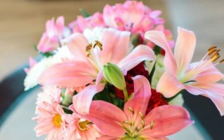 高冷花语解读——玫瑰（探寻高冷美学的艺术品味）