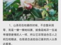 诚信之花——鸢尾花的花语（探寻鸢尾花的花语与诚信主题的联系）