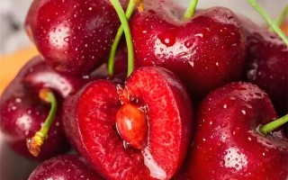 如何正确养殖樱桃？（樱桃树的种植、水分管理、肥料施用、病虫害防治等技巧）