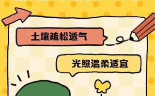 山地玫瑰的侧芽生长技巧（培育山地玫瑰侧芽的关键步骤及注意事项）