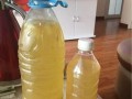 废油可以浇哪些花？浇什么花好？（学会合理使用废油，为花草提供更好的生长环境）