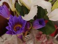 以水养鲜花的技巧（让花儿永葆鲜活的养护秘诀）