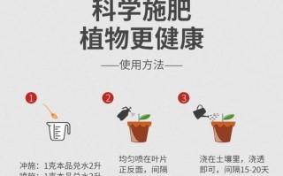 多肉植物的土壤配制方法（打造最适合多肉植物的土壤组成）