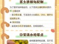 冬季金桔树养护指南（打造健康的金桔树，享受冬日芬芳）