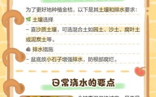 冬季金桔树养护指南（打造健康的金桔树，享受冬日芬芳）