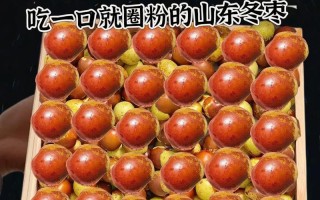 冬枣的最佳食用季节（优质冬枣的特点与选购技巧）