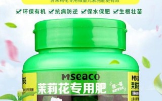 绿萝肥料施用指南（了解绿萝施肥频率和最佳肥料选择的实用指南）