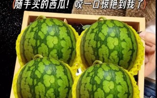 西瓜产地大揭秘（原产地不是中国？寻找全球最佳种植地）