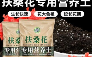 扶桑施肥指南（让你的扶桑生长茁壮的最佳肥料选择）