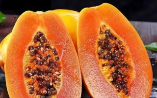 木瓜的品种及特点（了解丰富多彩的木瓜世界）
