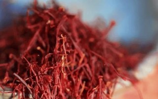 藏红花泡水喝的功效与方法（藏红花泡水喝的好处有哪些？如何正确泡水？）