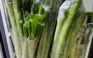 冷冻是最佳选择（冷冻是最佳选择）