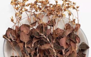 金线莲中最好的品种是哪种？（了解不同品种的金线莲，选择适合自己的“宝石”。）