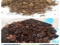 以木炭灰怎么处理种多肉配土（木炭灰在多肉配土中的应用与效果）