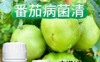 探究番茄落果的原因（分析番茄生长过程中落果的原因及预防方法）