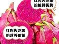 火龙果的授粉时间与方式（提高产量，需知授粉关键）