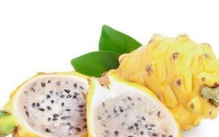 火参果种子保存与繁殖方法（掌握火参果种子的妙用，实现自家火参果种植）