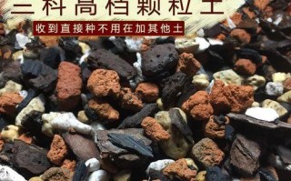 颗粒土（探究颗粒土的成因和特征）