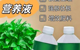 营养液浇葱有效吗？（探究营养液对葱的生长效果及使用技巧）
