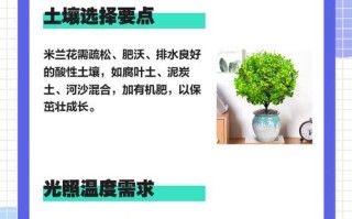 米兰花的繁殖方式剖析（探究米兰花种子的生命周期及如何繁殖）