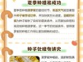 菠萝种植全攻略（从选择品种到施肥养护，一步步教你种出丰收的菠萝）
