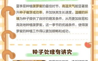 菠萝种植全攻略（从选择品种到施肥养护，一步步教你种出丰收的菠萝）